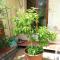 Garden Apartment on Art Nouveau Street in Central Prague