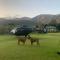 Montagu Vines Guesthouse