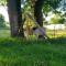 Domaine des Maillets