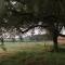 Domaine Ranch Kabahina Golf