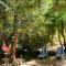 KURALEMU Casa de Campo - Curacaví