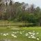 Professor Rousseau's Manatee Bay - Crystal River