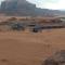 Blue Camel - Wadi Rum