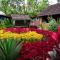 Wina Wani Bungalows Tetebatu
