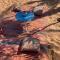 Chegaga Desert Trips