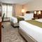 Comfort Inn Hamilton/Stoney Creek - Hamilton