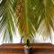 Hotel Jaiba Mahahual - Adults Only - Mahahual