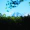 Arrowtown House Boutique Hotel