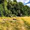 Beautiful, Secluded Shepherd's Hut in the National Park - Rake