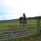 Park Farm Cottage - Folkton