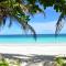 Olas Tulum - Tulum