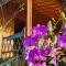 Baan 2 Dao Farmstay - Chiang Dao