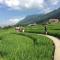 Sapa Farmstay