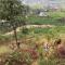 Sapa Farmstay