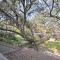 Dog-Friendly Kingsland Rental on Lake LBJ!