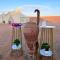 Luxury Desert Camp Oman Bidiyah - الوصل