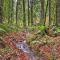 Willamette Valley Apt - Surrounded by Wineries! - 纽伯格
