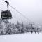 Gondola Lodge