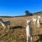 Mark Close Milking Parlour - Alston