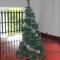 Lazy Bear Best Hostel in Kandy - Kandy