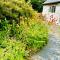 Beautiful Ancient Stone Cottage, Local Walks & Pub! - Conwy