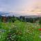 F E R I E N W O H N U N G "Am Halbenstein" mit Garten