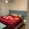 Luxury furnished apartment 223
