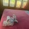Sunshine Hotel Kampot