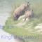 Bardia Kingfisher Resort