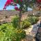 Lemon houses - Faros, Sifnos - 法罗斯岛