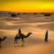 Authentique berber Camp & Activities