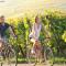Magnifique Gite Le Clos des pierres Route des Vins dAlsace