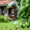 Beautiful Home In Nykøbing Sj With Wifi - Klint
