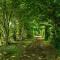 Gorgeous Home In Hampen With Wifi - Hampen