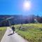 New Chalet with breathtaking views! - Alt Sankt Johann