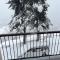 DUPLEX Les Plautus