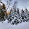 La Petite Foret Chamrousse 1700