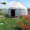 Karakol Yurt Lodge