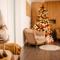 Valea Putnei Residence- Rooms for rent - Valea Putnei