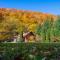 Cottage by the river Valea Draganului