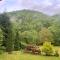 Cottage by the river Valea Draganului