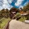 The Cocoon Camps & nature Resorts - Nainital