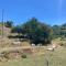 “Molise” Four Seasons