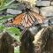 Flowerhaven - glamping dome