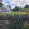 Flowerhaven - glamping dome