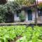 Tam Coc Eco House