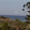 Apartments with garden view2 - Ierapetra