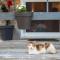 Greece Seaside villa 200sq m 20m from sea