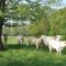 Three-Bedroom Holiday Home In Chigny