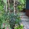 Treeverb Beach House - Daintree